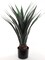 30-Inch Artificial Agave Plant in Stylish Pot | Lifelike Faux Greenery for Indoor & Outdoor Décor | Low Maintenance & Realistic Design | Floral Home by Artificial Flowers